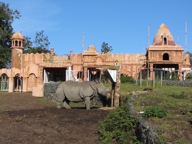 West Midlands Safari Park: A Unique Wildlife Experience